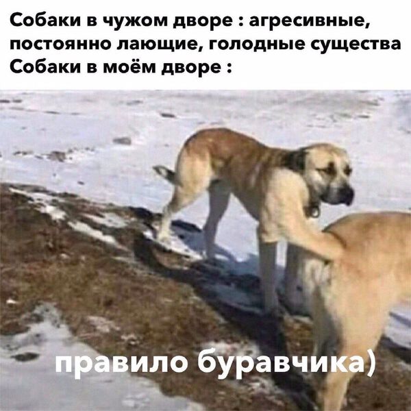 Ну чё, пацаны, чернушка?