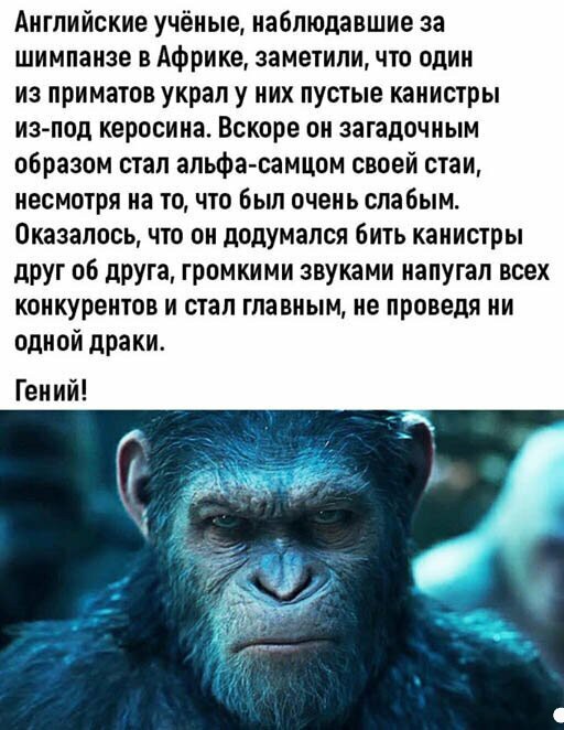 Немного картинок для настроения 20.06.20