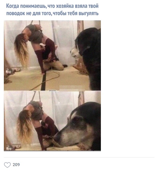 К пятнице. Немного слегка пошлых картинок с надписями 16+ (17.07.2020)