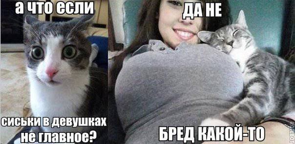 Бредзона 17.07.2020