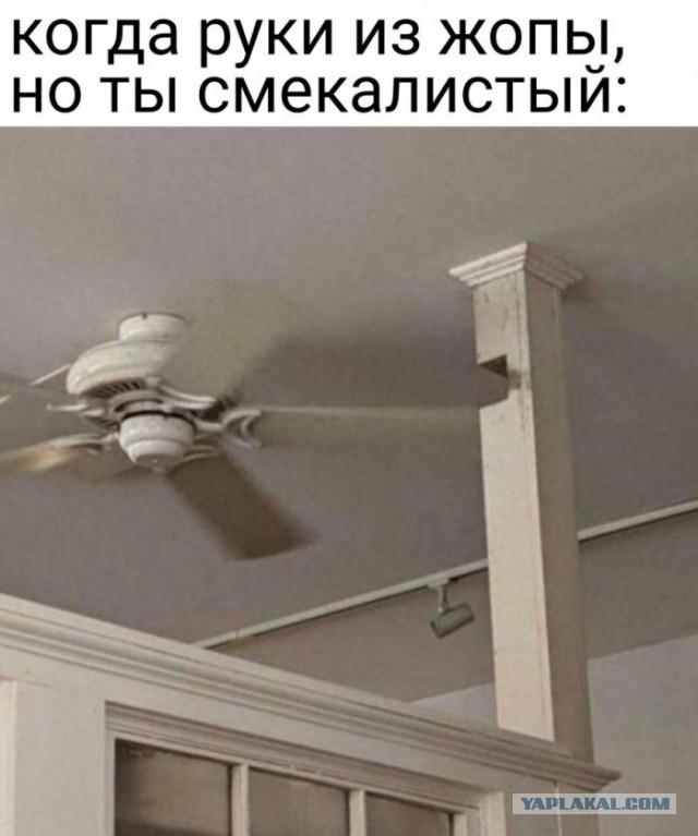 Немного картинок для настроения 30.07.20