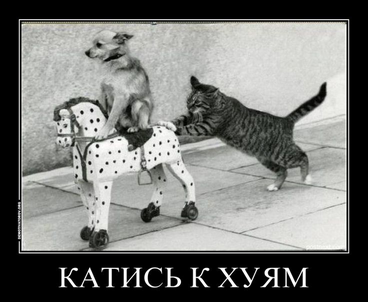 Бузова иммигрирует