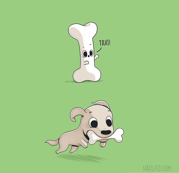 Карикатуры
