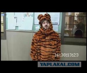 Тигр наказал гопника