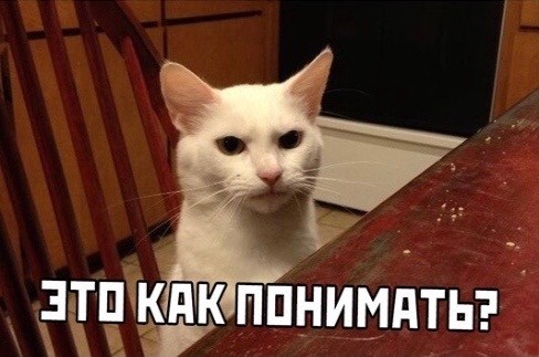 Аморальная деградация