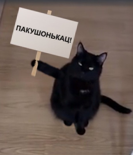 Котэбастовка!