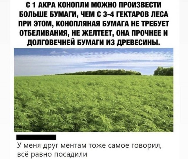 Картинки и мемы для настроения 09.06.2021