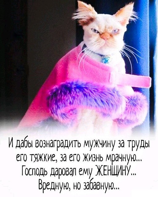Баянисто-небаянистый юмор 23.08.21
