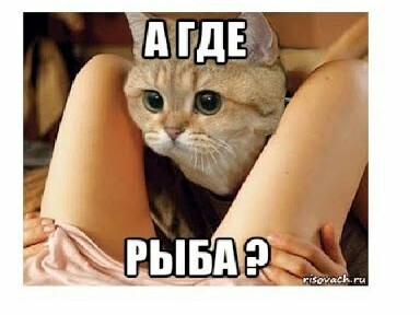 "Лохматое золото по завышенной цене... " (с)