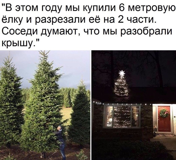 Весёлый полтишок 31.12