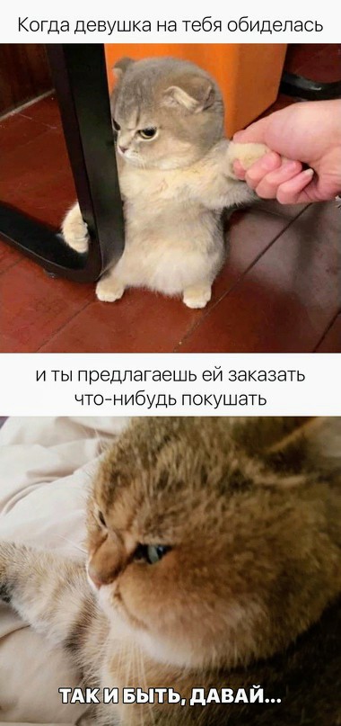 Картинки и мемы для настроения 02.02.2022