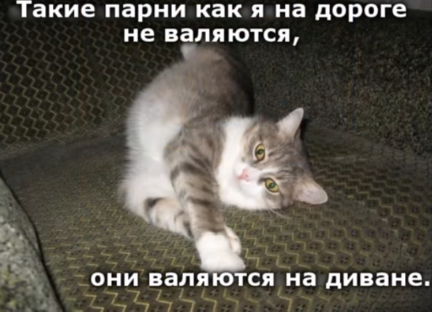 Так себе картинки 27.02.22