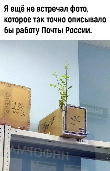 50 оттенков серого. V0l.12 Или  самосвал баянов.  50 штук .