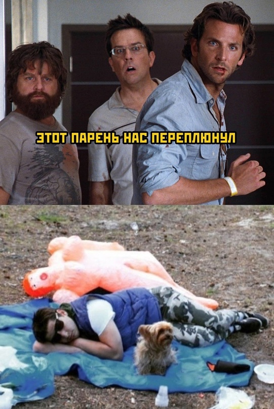 Весёлый полтишок 04.11.22