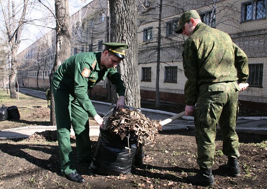 Зачем красить траву. Солдаты уборка территории.