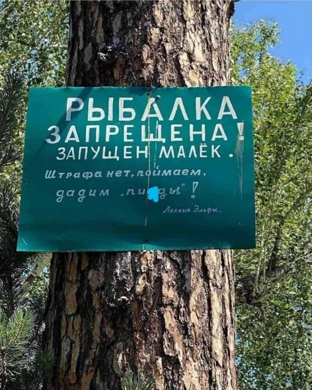 Немного картинок для настроения - 165