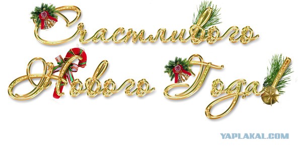 Любимое блюдо на Новый год — 2024. Читаем ленту!