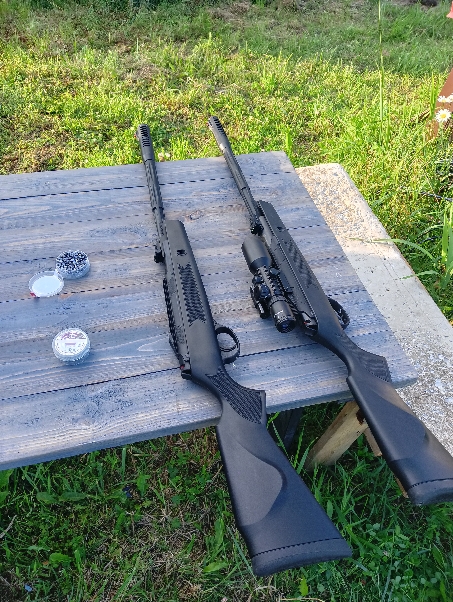 Конкурс «Космические грибы». Читаем рассказы и стихи