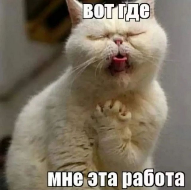 Воскресенье, вечер