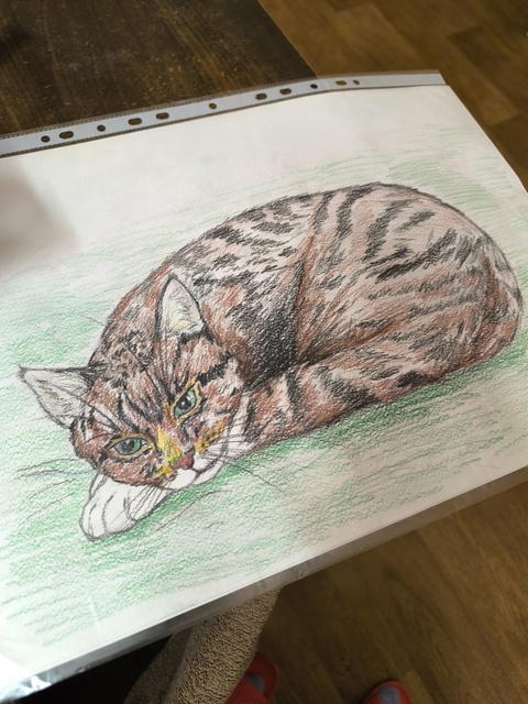 Котоштрих