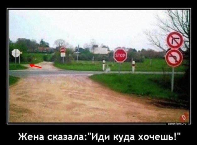 Так себе картинки 14.02.25