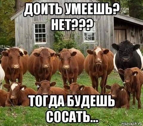 Пошлый и взрослый юмор #4