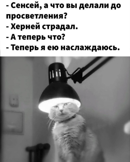 Картинки для деградации 89 (разной степени свежести)