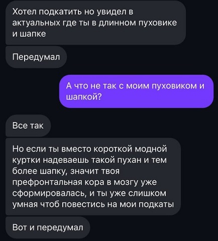 Мой кот
