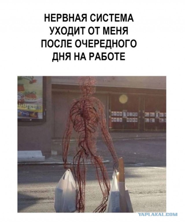 Картиночки, баянчики 29 января