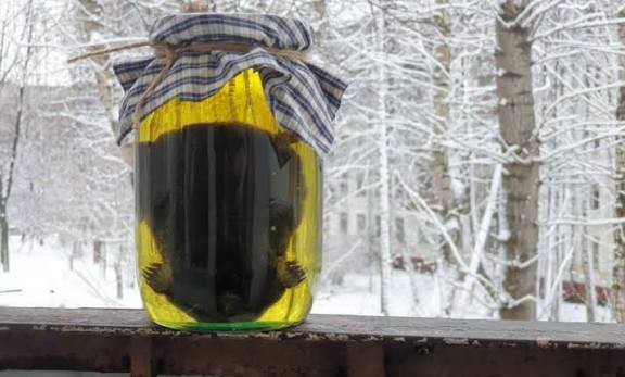 Хитрожопые кроты