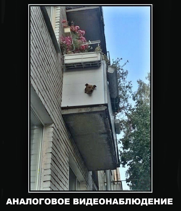 Пятничные картинки