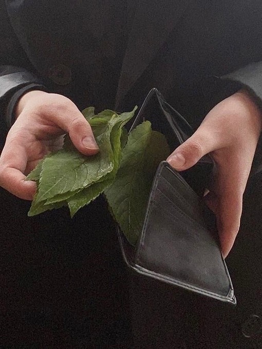 У меня созрел вопрос