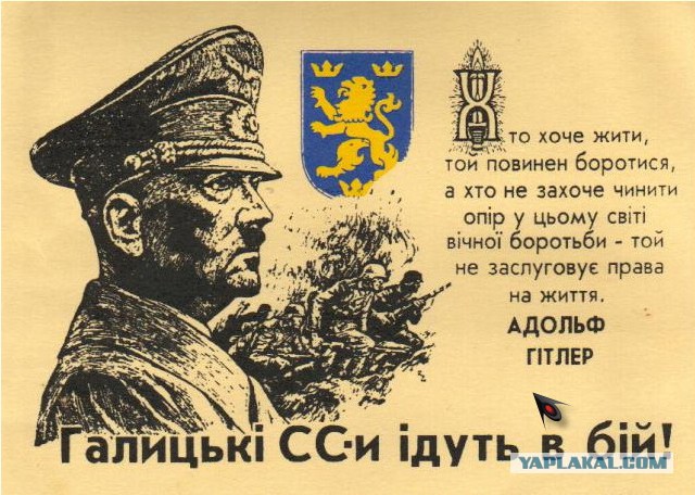 Американцы об Украине и её революции