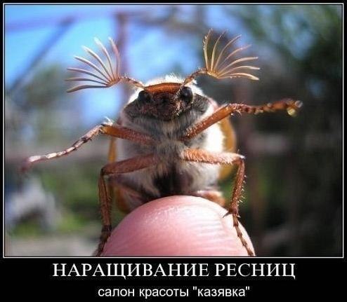 Веселые картинки № х/з