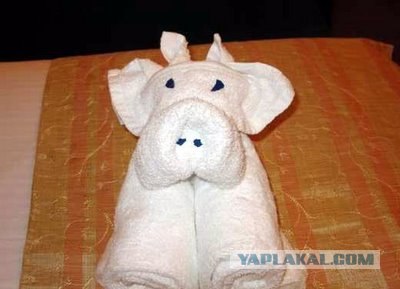 Как горничные в Гоа заправляют кровати