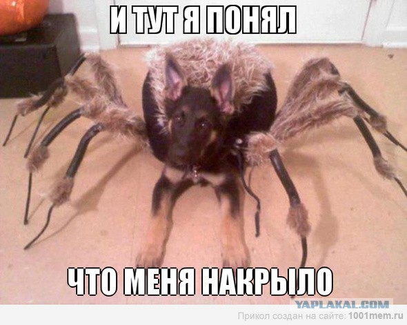Когда твой пост не понравился