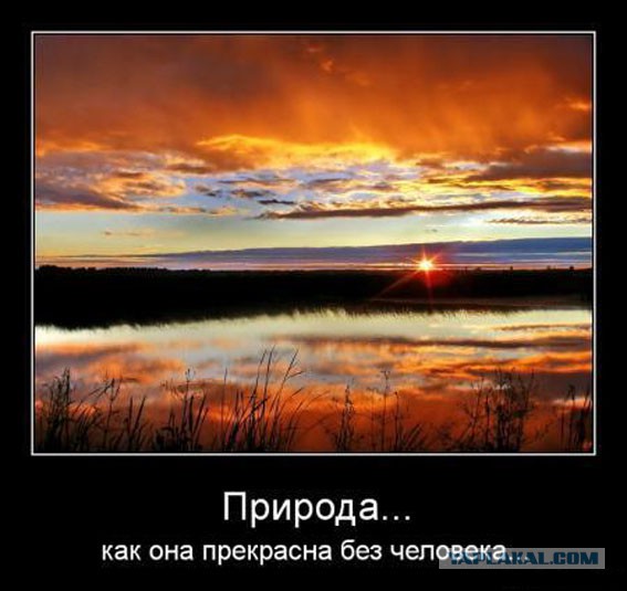 Давно демотиваторов не было