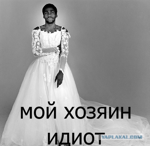 Чуток демотиваторов