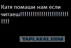 Веб-камеры на избирательных участках