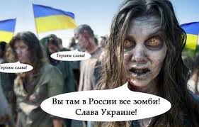 Шарий, красавчег