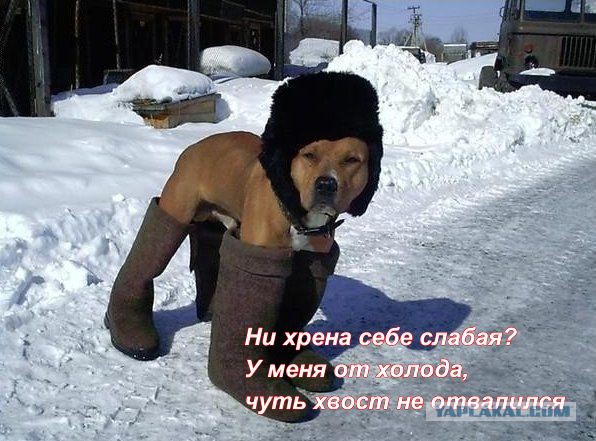 Зима в этом году