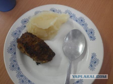 Школьные обеды с разных уголков планеты