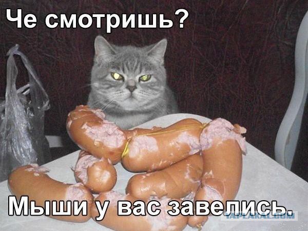 Немного картинок перед понедельником