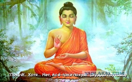 Буддийская притча