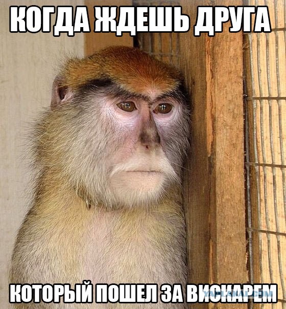 Вторник-повторник