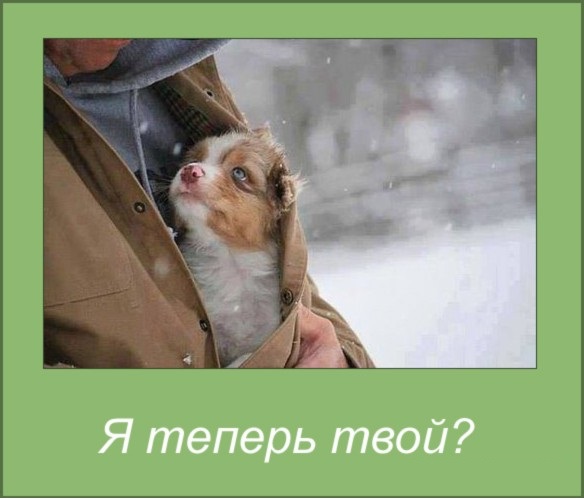 О вредопользе соцсетей