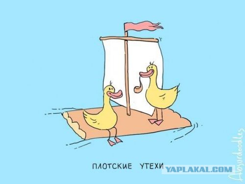 Картинки + гифки.