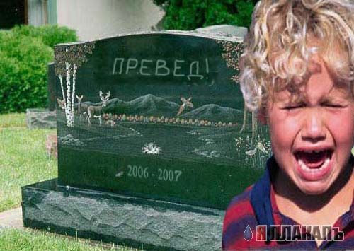 Превед медвед!