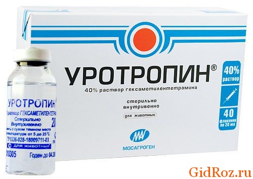 Аптечные кремы, которые работают лучше косметических