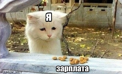 В день зарплаты